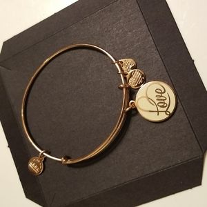 ALEX and Ani Love charm Bangle bracelet
